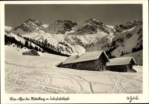 Foto Ak Mittelberg im Kleinwalsertal Vorarlberg, Ortsansicht, Winter, Wiesalpe