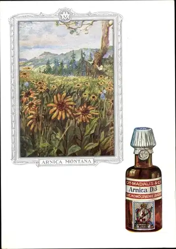 Künstler Ak Arnica Montana, Bergwolferlei, Dr. Madaus & Co., Homöopathie, Reklame