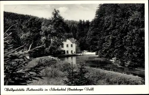 Ak Silberbachtal Horn Bad Meinberg, Waldgaststätte Kattenmühle