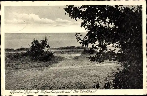 Ak Hohwacht an der Ostsee, Lütjenburgerstrand, Waldrand