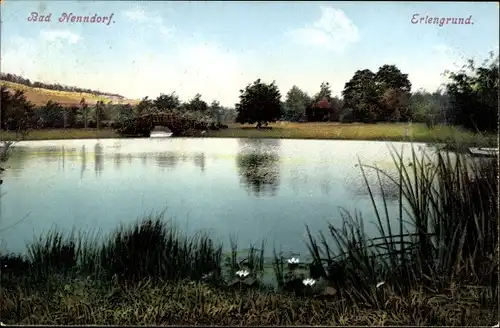 Ak Bad Nenndorf an der Weser, Erlengrund