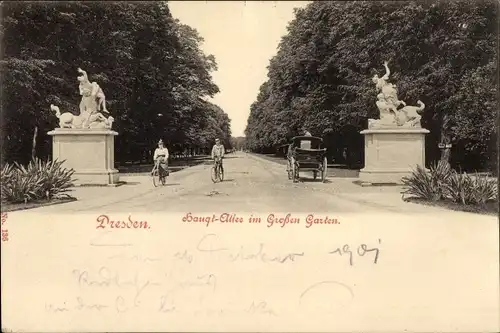 Ak Dresden Altstadt, großer Garten, Haupt-Allee, Kutsche, Fahrradfahrer