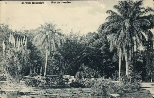 Ak Rio de Janeiro Brasilien, Jardim Botanico