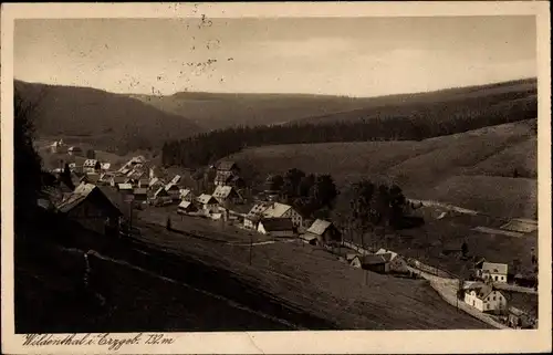 Ak Wildenthal Eibenstock im Erzgebirge, Panorama