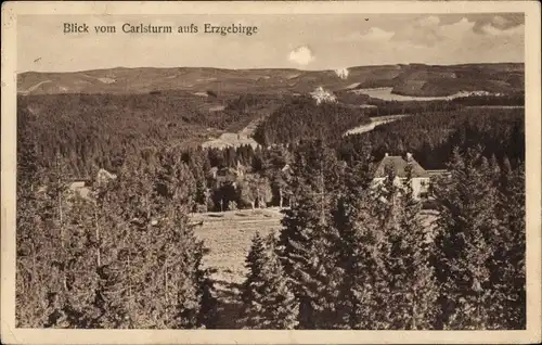 Ak Auerbach im Vogtland Sachsen, Blick vom Karlsturm zum Waldrestaurantl Zöbischhaus