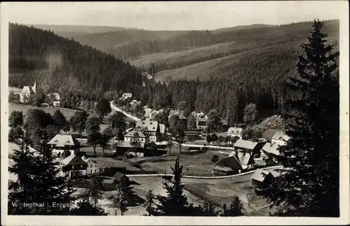 Ak Wildenthal Eibenstock im Erzgebirge, Teilansicht