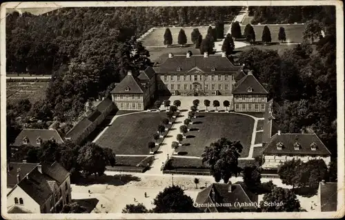Ak Oranienbaum Wörlitz in Anhalt, Schloss, Fliegeraufnahme