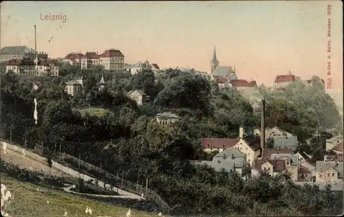 Ak Leisnig in Sachsen, Ortsansicht, Kirche