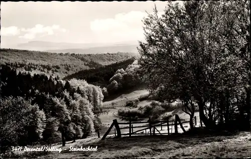 Ak Derental im Solling, Steinbachtal, Panorama