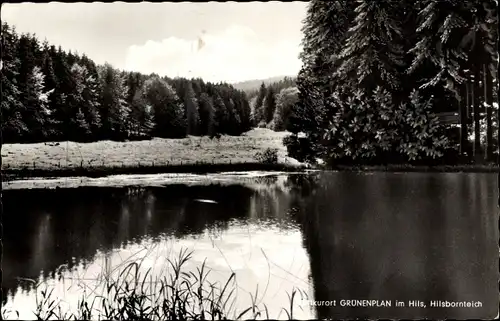 Ak Grünenplan Delligsen Niedersachsen, Hils, Hilsbornteich