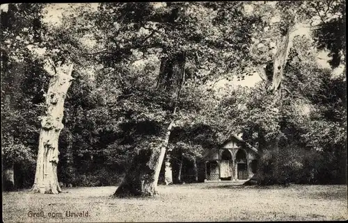 Ak Neuenburg Friesland, Urwald 