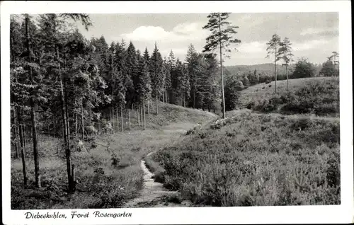 Ak Sottorf Rosengarten Niedersachsen, Diebeskuhlen, Harburger Berge, Sage