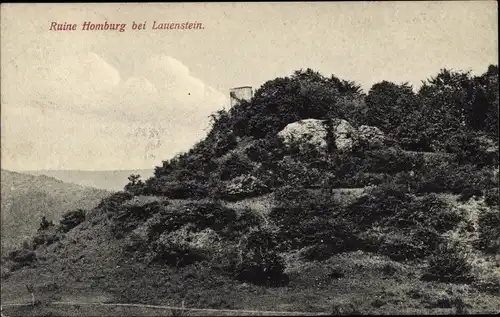 Ak Lauenstein Salzhemmendorf in Niedersachsen, Burg Lauenstein, Ruine Homburg