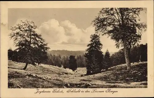 Ak Göhrde in Niedersachsen, Jagdrevier, Schlucht in den Lissauer Bergen