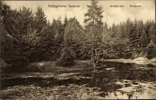 Ak Göhrde in Niedersachsen, Hofjagdrevier, das große Suhl