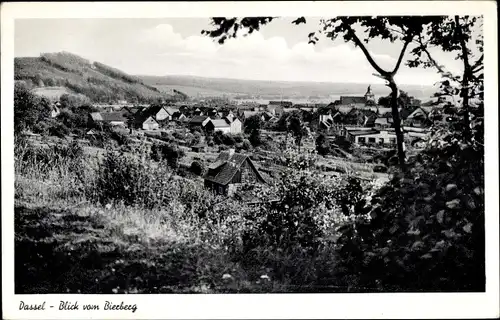 Ak Dassel in Niedersachsen, Blick vom Bierberg, Erholungsheim im Solling