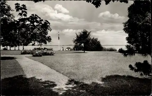Ak Bad Zwischenahn in Oldenburg, Strandpark, Flagge