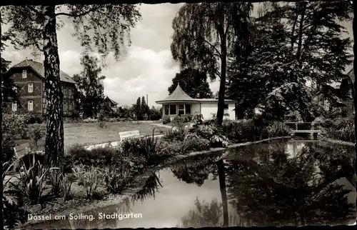 Ak Dassel am Solling, Stadtgarten, Pavillon