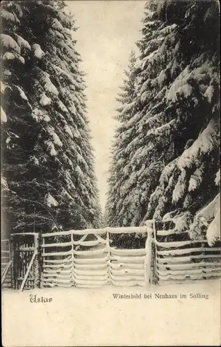 Ak Neuhaus im Solling Holzminden Niedersachsen, Wintermotiv