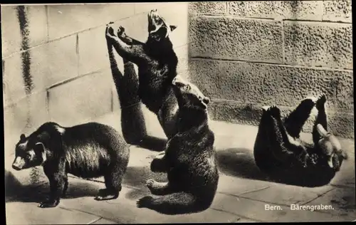 Ak Bern Stadt Schweiz, Bärengraben