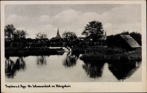 Ak Trzebiatów Treptow an der Rega Westpommern, Schwanenteich, Königshain