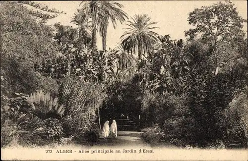 Ak Algier Algerien, Hauptgang im Jardin d’Essai
