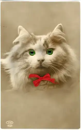 Stoff Ak Weiße Katze mit Plastikaugen, Tierportrait, Rote Stoff-Schleife