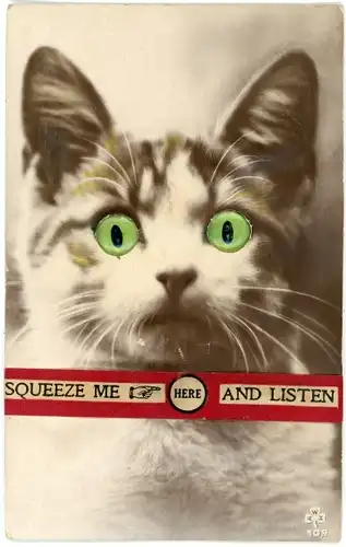Quietsch Ak Katze mit Plastikaugen, Tierportrait