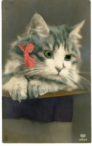 Stoff Ak Katze mit Plastikaugen, Tierportrait, Rote Stoff-Schleife