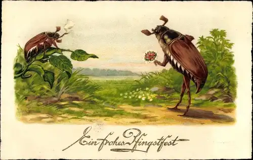 Ak Glückwunsch Pfingsten, Maikäfer, Laubblätter