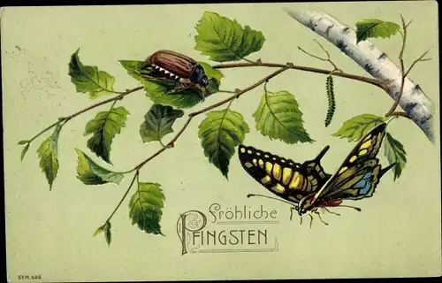 Präge Ak Glückwunsch Pfingsten, Schmetterling, Maikäfer, Baumzweig