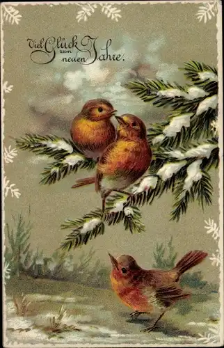 Präge Ak Glückwunsch Neujahr, Vögel, Tannenzweige