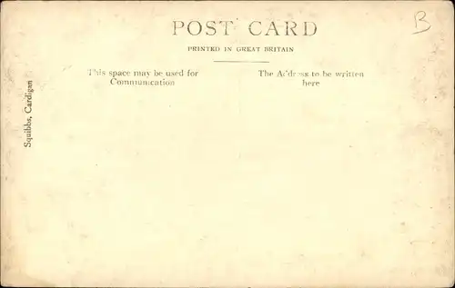 Ak Llecryd Cardigan Wales, Brücke, Häuser