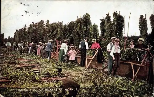 Ak Hopfenpflücker bei der Arbeit