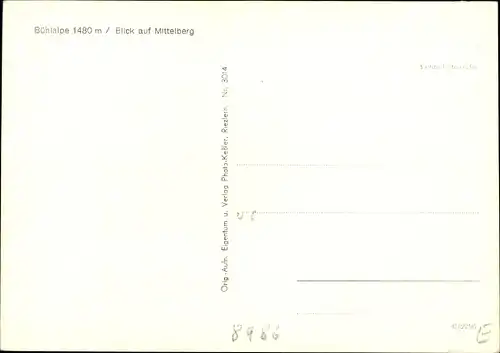 Ak Mittelberg im Kleinwalsertal Vorarlberg, Berggasthof Bühlalpe