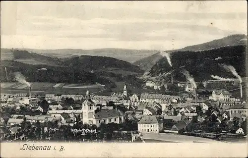 Ak Hodkovice nad Mohelkou Liebenau in Böhmen Region Reichenberg, Totalansicht