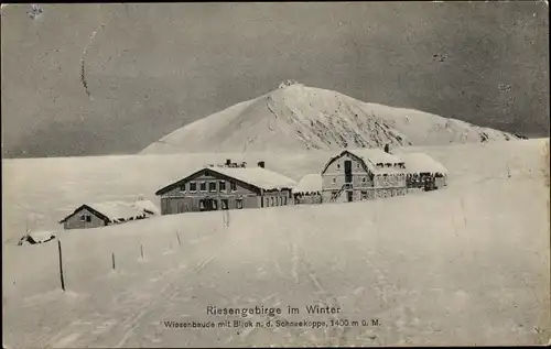 Ak Riesengebirge, Wiesenbaude mit Blick n. d. Schneekoppe, Winter