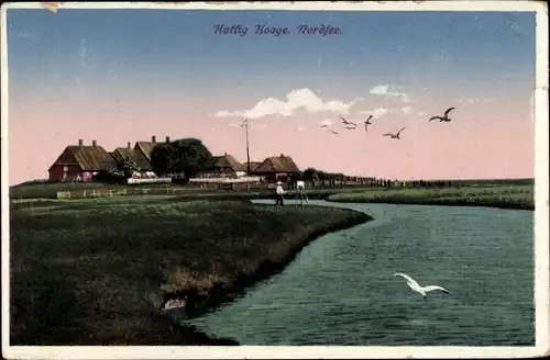 Ak Hallig Hooge in Nordfriesland, Warft