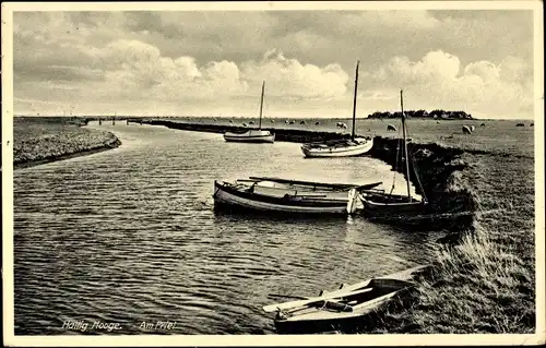 Ak Hallig Hooge in Nordfriesland, Priel, Boote