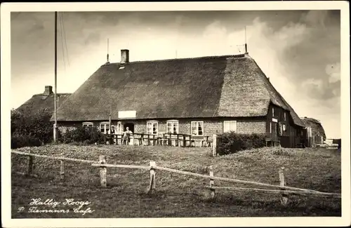 Ak Hallig Hooge in Nordfriesland, Tiemanns Cafe