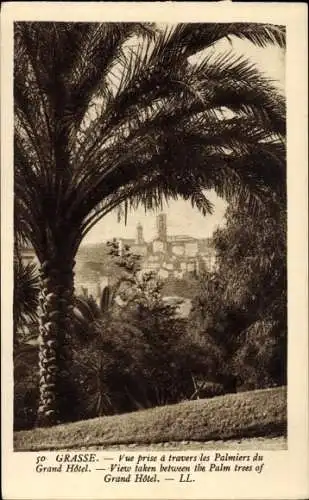 Ak Grasse Alpes Maritimes, Blick durch die Palmen des Grand Hotel