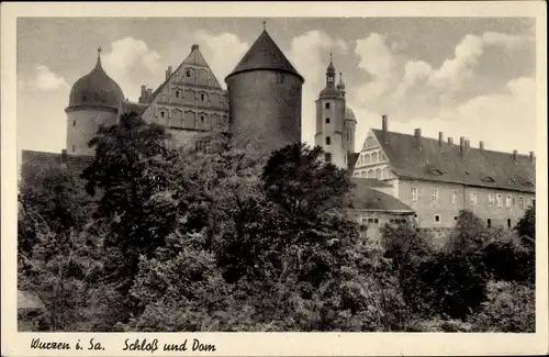 Ak Wurzen in Sachsen, Schloss, Dom