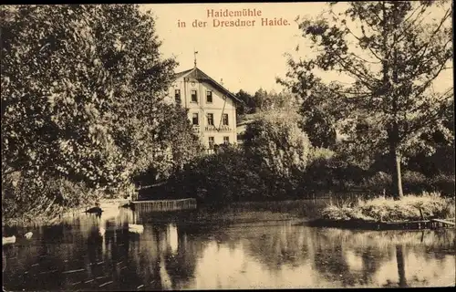 Ak Dresden, Dresdner Heide, Heidemühle, Haidemühle, Dresdner Haide