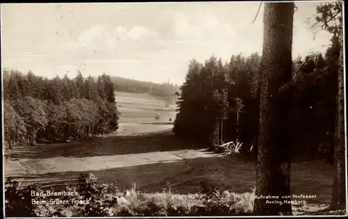 Ak Bad Brambach im Vogtland, beim grünen Frosch