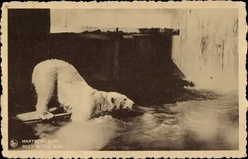 Ak Eisbär im Wasser, Gehege