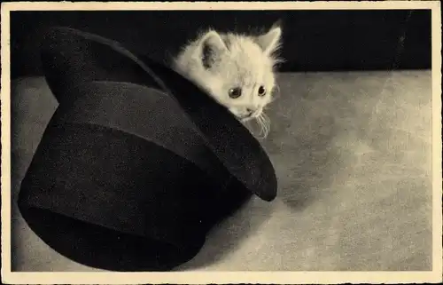 Ak Kleine Katze im schwarzen Hut