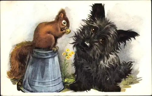 Künstler Ak Terrier, Eichhörnchen, Nuss, Eimer