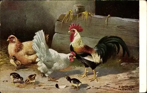 Künstler Ak Dorno, E., Hahn, zwei Hühner und Küken
