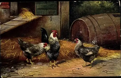 Künstler Ak Schönian, Alfred, Hühner, Hahn, Hühnerstall