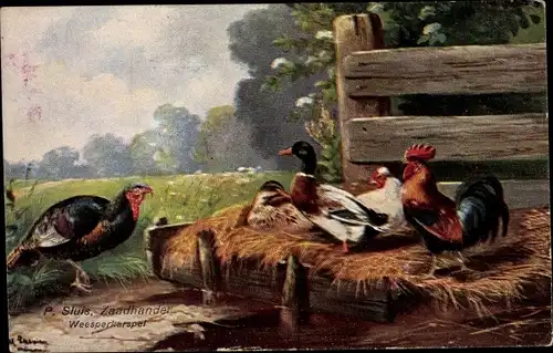 Künstler Ak Schönian, Alfred, Stockente, Hühner, Hahn, Truthahn, Bauernhof